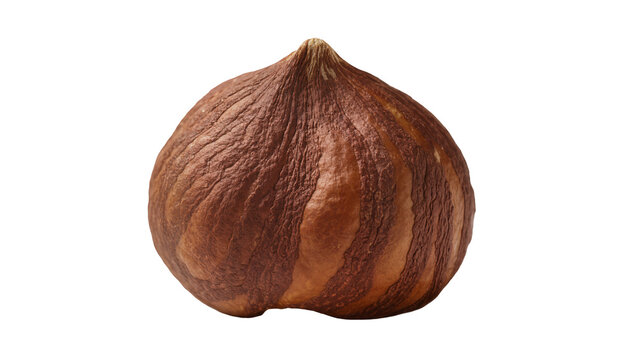 Single whole hazelnut with textured brown skin, isolated on transparent background