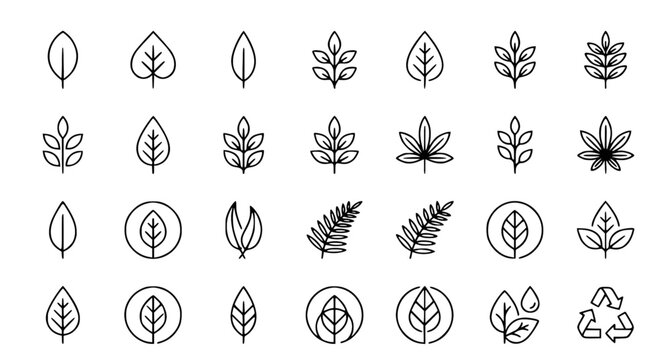 Minimal Leaf Outline Icons Set with Editable Stroke Vector Design