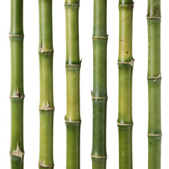 Fototapeta premium Bamboo Stems Pattern Isolated on Transparent Background PNG