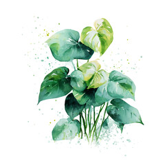 watercolor vector of Philodendron, isolated on a white background. © F-ART