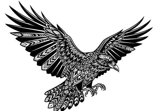 Black and white flying raven bird drawing