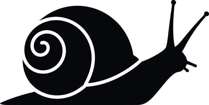 Minimalist black snail silhouette with spiral shell isolated icon vector illustration