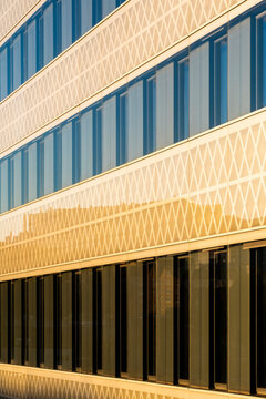 Golden facade with windows and clean lines forming a pattern across the building exterior, where sunlight reveals architecture and precise detail