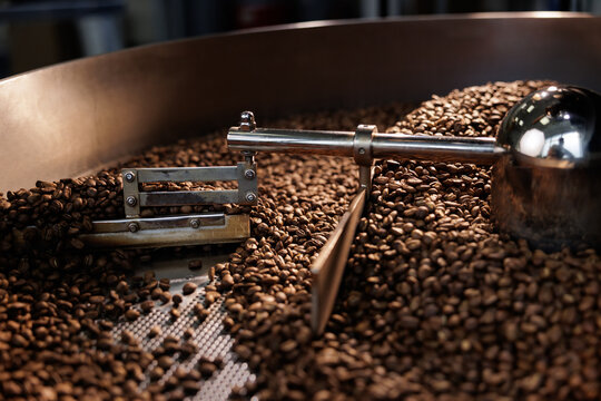 Freshly aroma coffee beans in industrial cooling drum with metal scoop