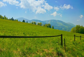 Spring on the pastures in Celadna in the Beskydy Mountains. © Pavel