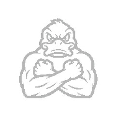 Fototapeta premium Aggressive muscular duck mascot vector, tough mallard character with crossed arms, angry bird sports logo icon, strong waterfowl gym illustration
