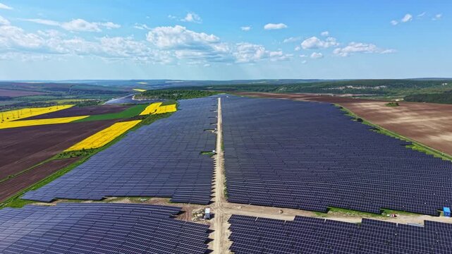 Solar panels cover vast fields in a rural landscape. The sun shines down as green hills rise in the distance. The land is marked by patches of yellow flowers and places of bare earth.