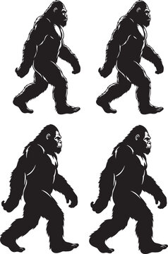 Silhouettes of four bigfoot or sasquatch creatures walking with sasquatch silhouette creature mythical humanoid cryptozoology folklore wilderness fictional illustration isolated multiple