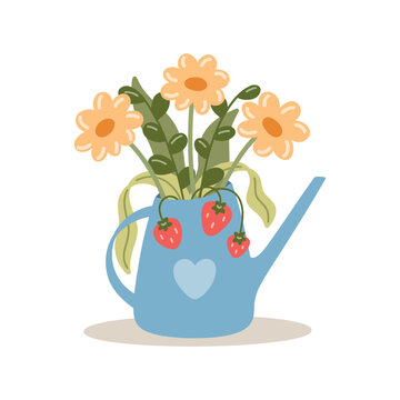 Spring flowers and garden strawberries in a watering can. Cute flat illustration