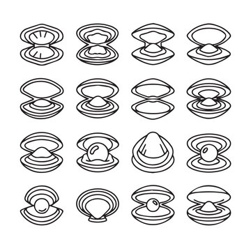 Collection of open clam shells with and without pearls on a white background
