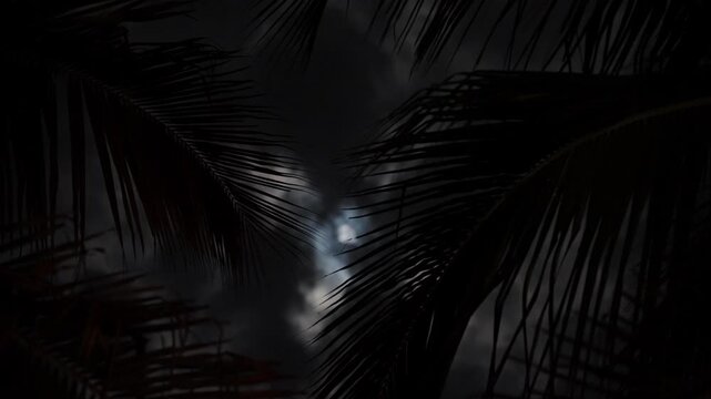 Palm tree silhouettes against cloudy night sky with moonlight filtering through tropical leaves, aerial