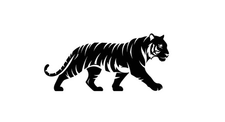 Fototapeta premium Black tiger walking side profile view 1.