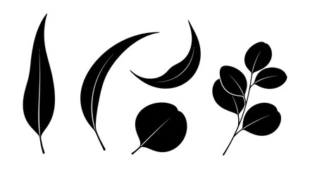 Collection of elegant eucalyptus foliage silhouettes, ideal for botanical themed graphics and decor projects © Tulippp