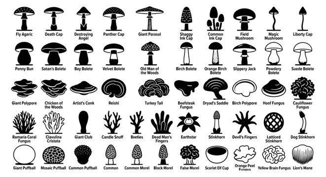 Fungal Kingdom: 50 Professional Mushroom and Mycology Species Silhouettes