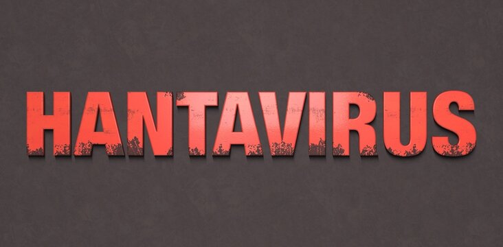 hantavirus 2026 banni&egrave;re (grunge rouge)
