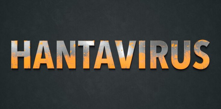 hantavirus banni&egrave;re (rouille fond noir)