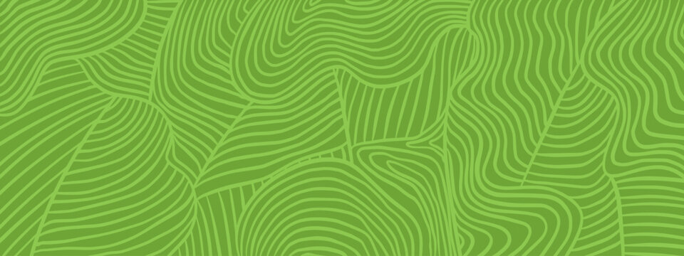 Organic vineyard pattern. Wavy stripe fields texture in green line art. Abstract farm landscape