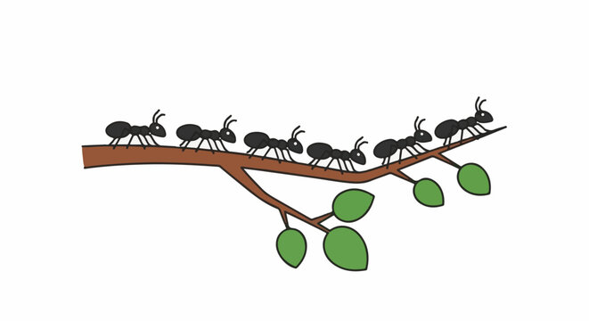 A line of black ants march along a brown branch with green leaves