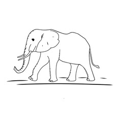 Obraz premium elephant vector illustration
