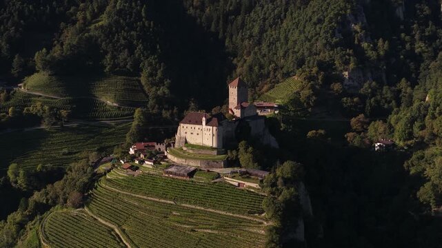Aerial view of tyrol castle surrounded by vineyards