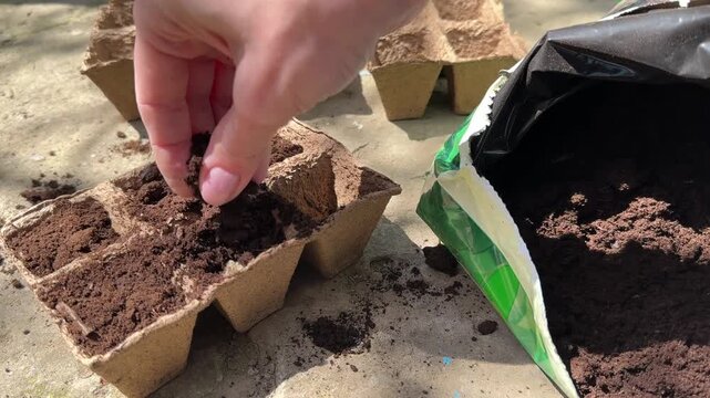 Female hands pour soil from bag into peat pots for seedling planting