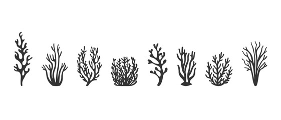 Diverse staghorn coral and marine seaweed line art silhouettes set in monochrome black ink style for coastal seafood restaurant menus and nautical tattoo design. © MarhaRyta