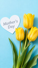 Fototapeta premium Flat lay top view of three yellow tulips with a heart-shaped Mother's Day greeting card on a pastel blue background, with copy space.