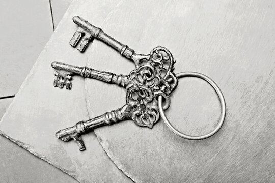 Set of three vintage decorative keys attached to metal ring rests on textured surface, showcasing intricate designs and details. Demonstrating color of 2026 year, Cloud, Dancer