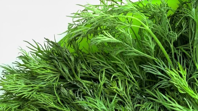 Fresh green dill leaves close up, natural herb texture, healthy food and cooking ingredient concept.