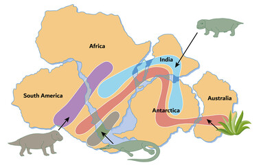 Fossil Evidence Map of Continental Drift and Pangea © BAROU ABDENNASER