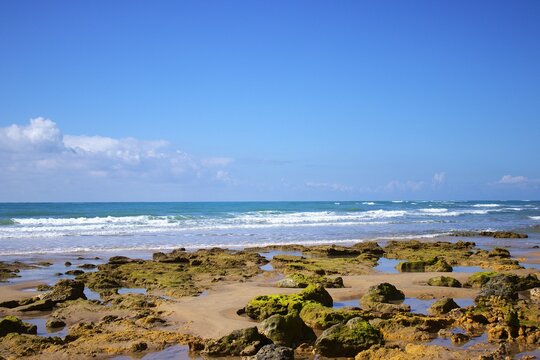 La barrosa. Chiclana de la Frontera. C&aacute;diz. Espa&ntilde;a. Europa.