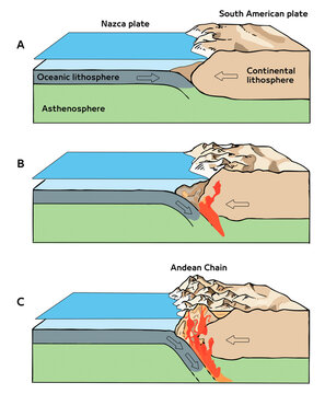 Tectonic Subduction Process and Formation of the Andean Mountain Chain