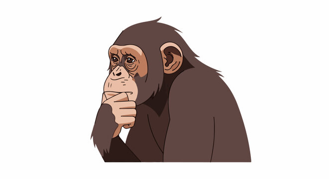 A thoughtful chimpanzee with its hand to its chin, looking to the side