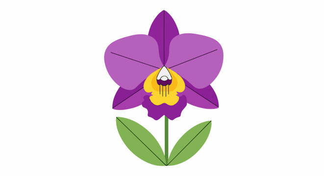 A stylized purple and yellow orchid with two green leaves
