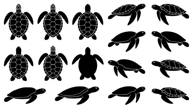 Black silhouettes of various sea turtles in different poses and styles