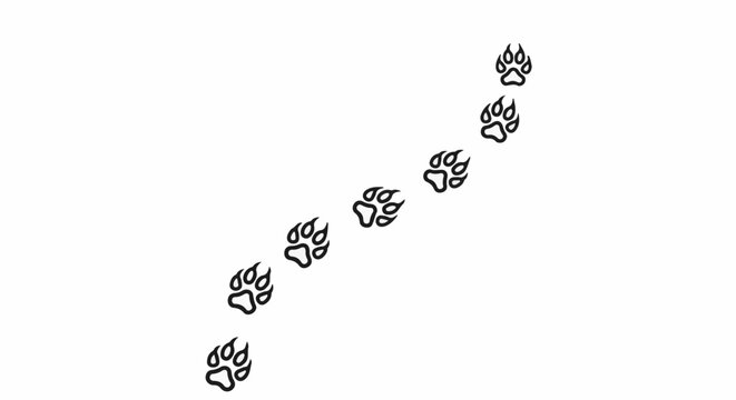 Paw prints creating a trail