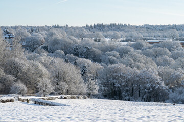 Fototapeta premium Peaceful snow-covered fields and frosted woodland under a pale winter sky with stone walls and distant houses creating a tranquil rural scene. Harrogate, North Yorkshire, United Kingdom.