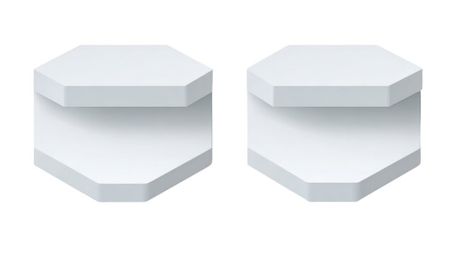 Two identical geometric forms with polygonal shapes and tiered surfaces. They are rendered in grayscale against a black background