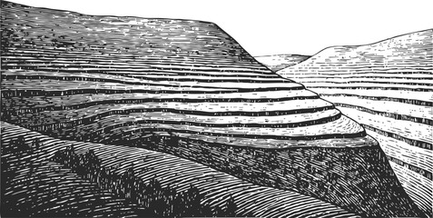 Fototapeta premium Terraced hills engraving
