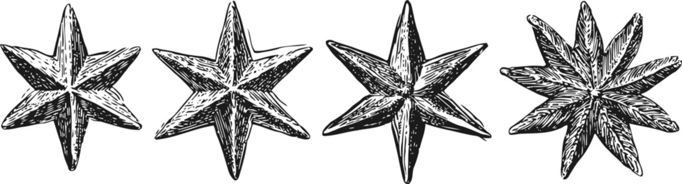 vintage star shapes set hand drawn stars with varying points and textures in black and white engraving
