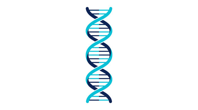 DNA Helix