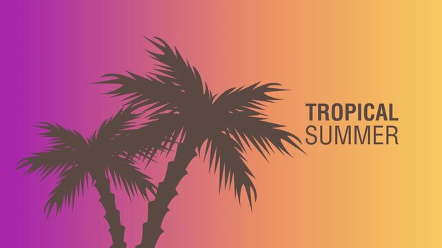 A video showcasing a tropical summer with palm trees in a vibrant gradient background