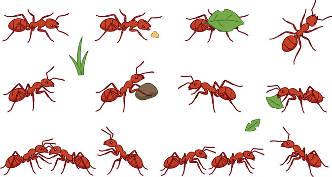 Red fire ants colony character collection carrying leaves and food crumbs in nature flat cartoon vector illustration bundle