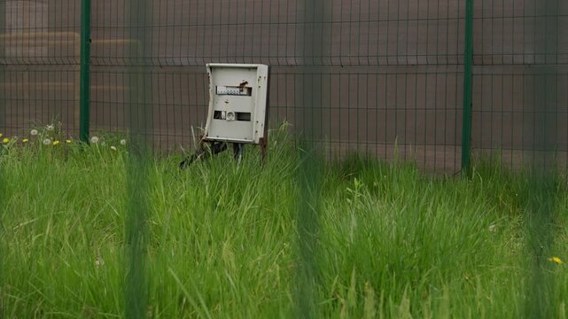 Damaged electrical control box standing in tall green grass near a metal fence. Weathered utility infrastructure surrounded by overgrown vegetation, highlighting maintenance and neglect concepts.