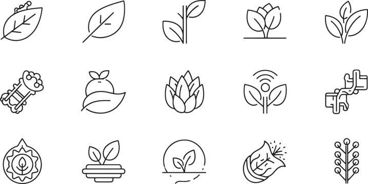 Black and white line collection of plants, animals, and