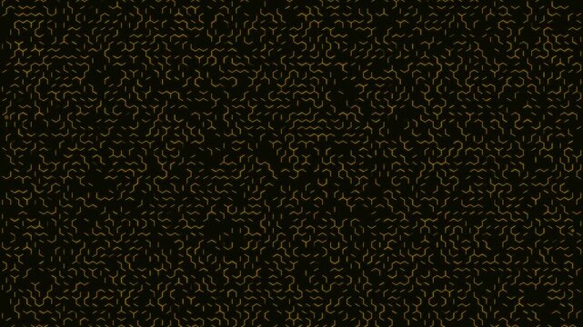 2D Maze Amber Walls Black Background Golden Pathfinder Trail - Hex Maze Animation
