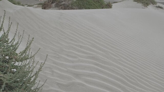 sand dunes on the beach