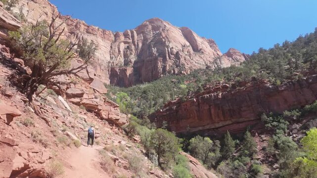 A woman hikes up a mountain trail in a rocky, sunny landscape in Zion National Park.