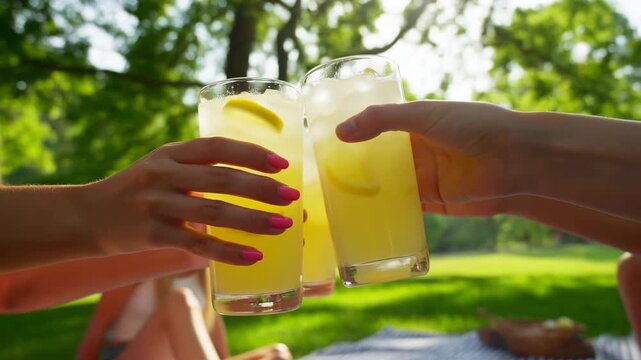 Sunshine Illuminates Joyful Friends Enjoying Chilled Citrus Drinks On Peaceful Park Blanket