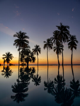 Sunset reflection of palm trees in infinity pool at resort in Madagascar